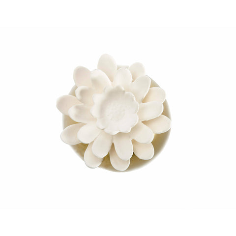 Polished Gold Sphere Diffuser