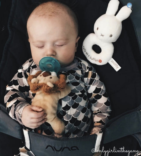 Cuddly Paci Holder