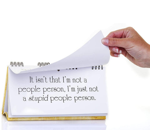 Classic Insults Flipbook