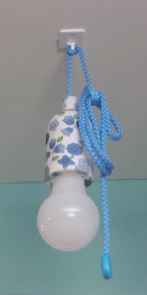Hanging Light Bulb
